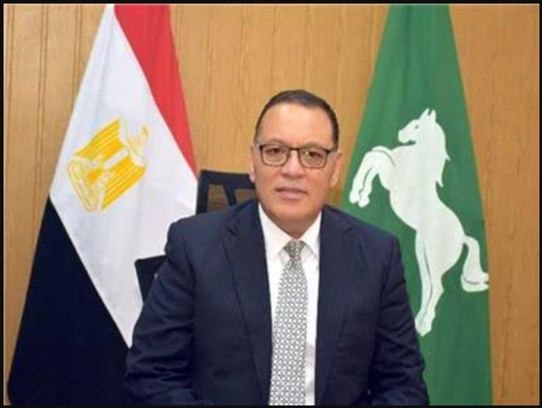 محافظ الشرقية 