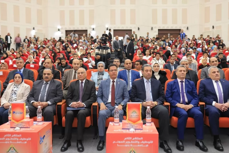 الدكتور ناصر الجيزاوي رئيس جامعة بنها