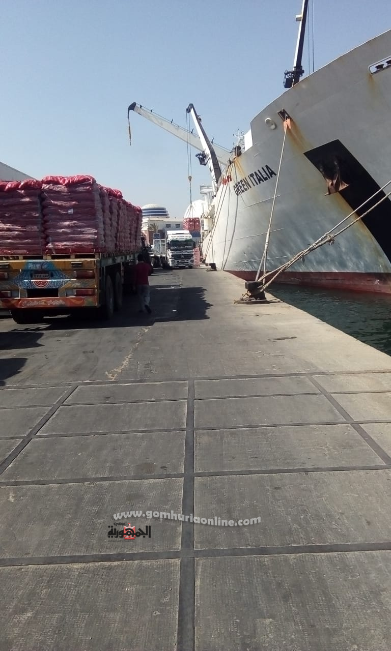نشاط كبير في حركة تداول البضائع والحاويات بميناء الاسكندرية صور