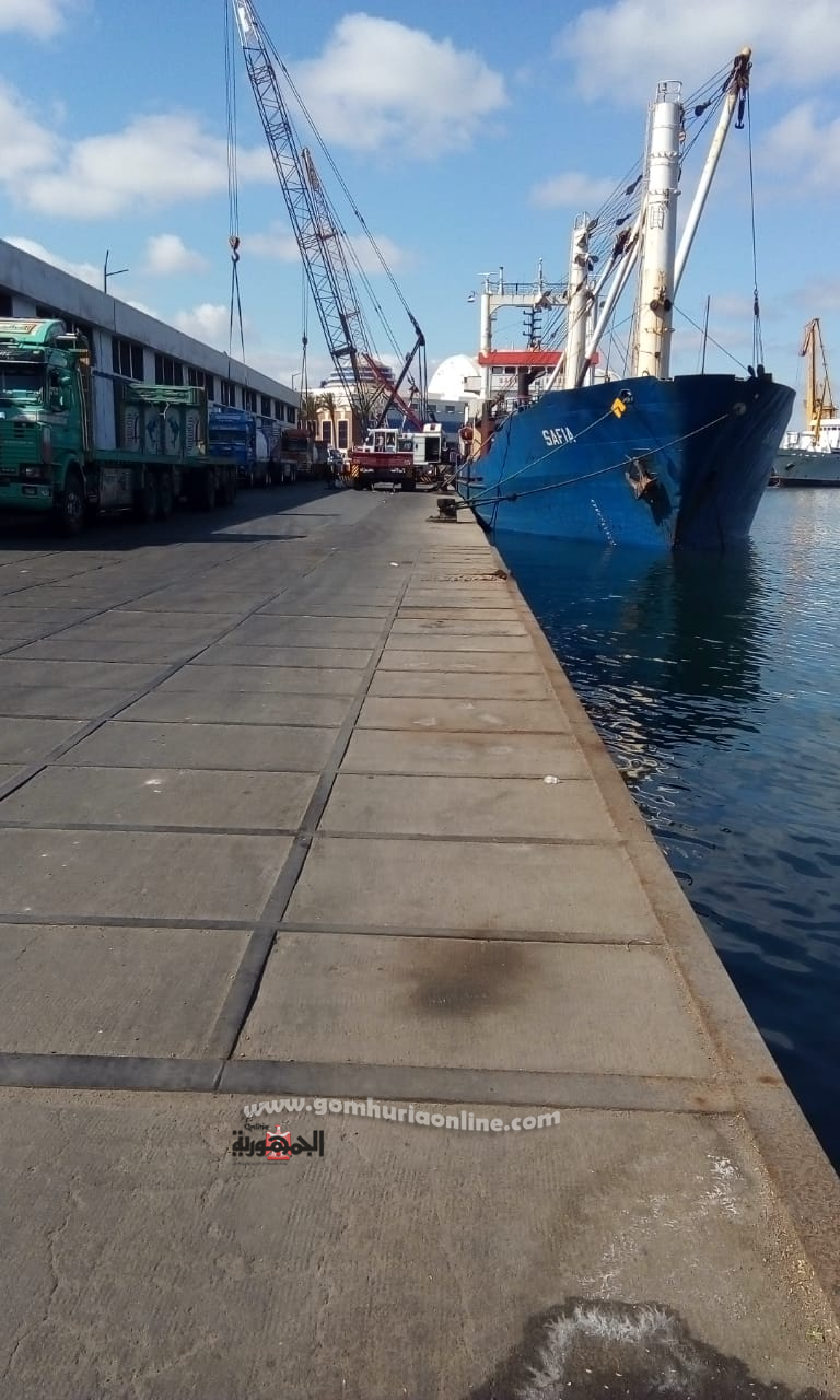 نشاط كبير في حركة تداول البضائع والحاويات بميناء الاسكندرية صور