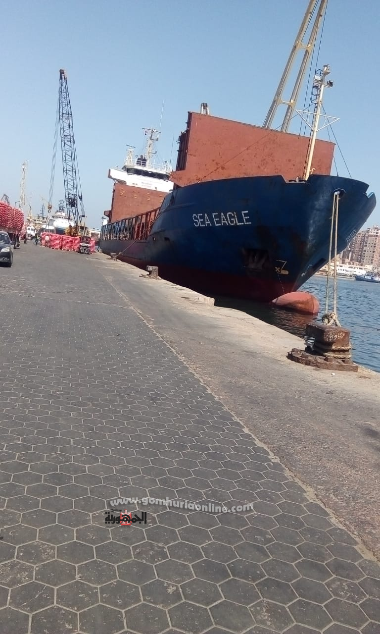 نشاط كبير في حركة تداول البضائع والحاويات بميناء الاسكندرية صور