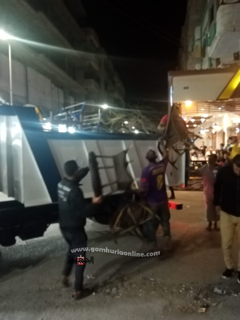 حملة مكبرة لرفع الإشغالات وتحقيق الانضباط بشارع النيل وأسواق رأس البر