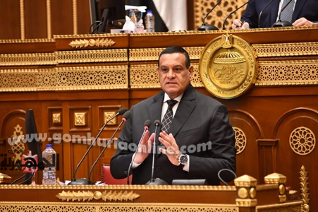 وزير التنمية المحلية أمام مجلس الشيوخ
