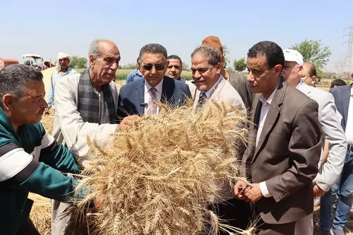 المهندس حسام عبدالفتاح محافظ القليوبية