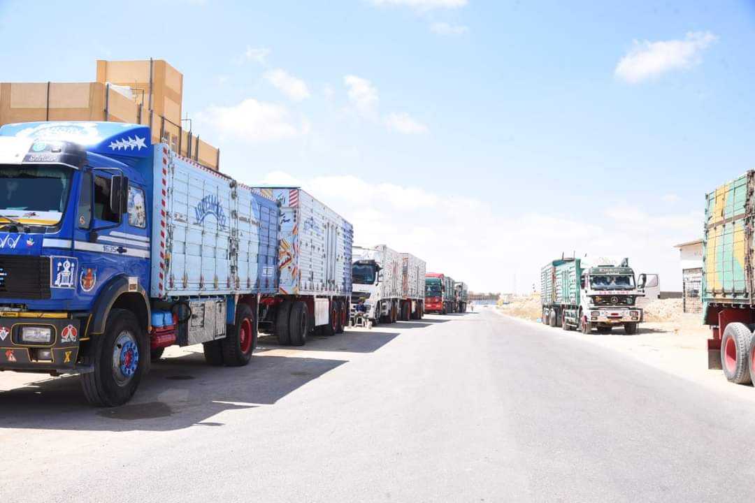 توريد 30.6  ألف طن من محصول القمح بمطروح