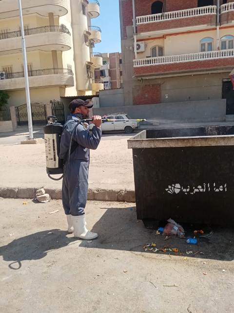 استمرار نشاط مكافحة الذباب وناقلات الأمراض بالشرقية