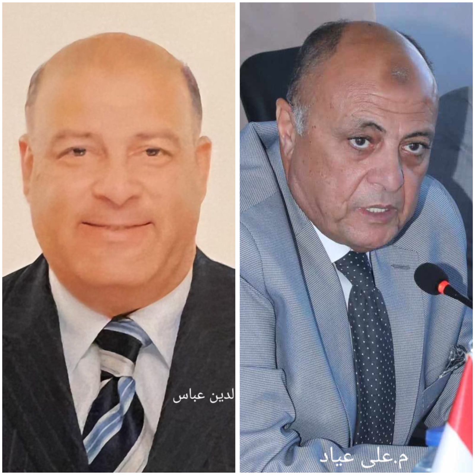 م. على عياد وم. حسام عباس