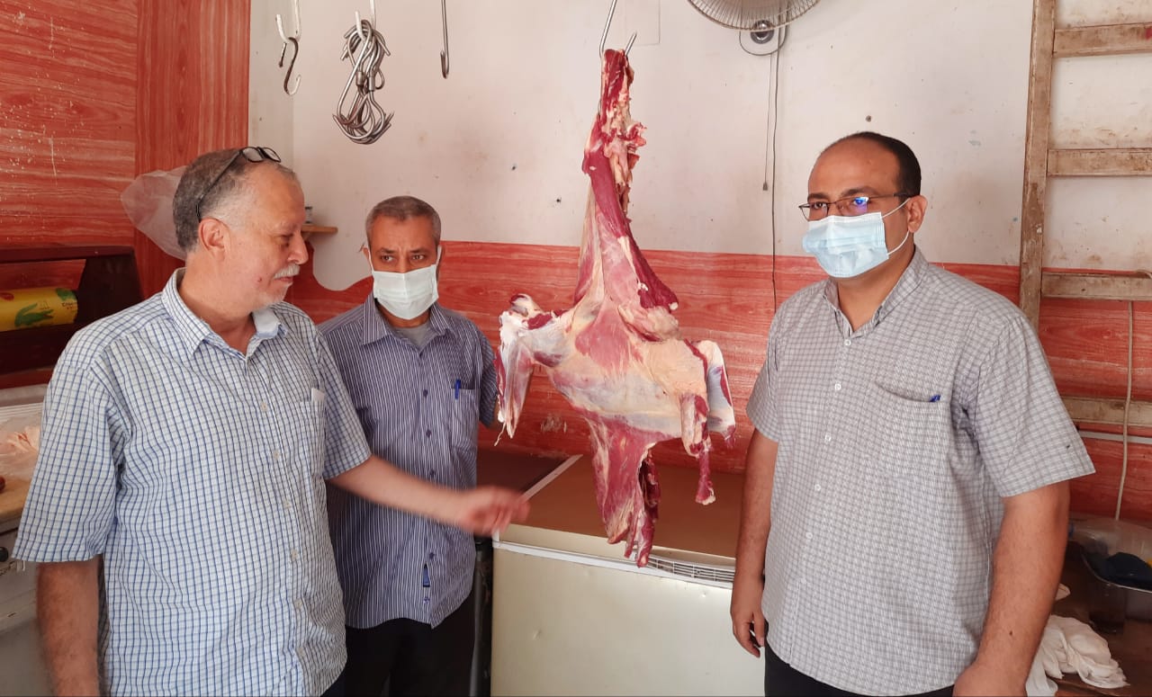 الحملة التموينية