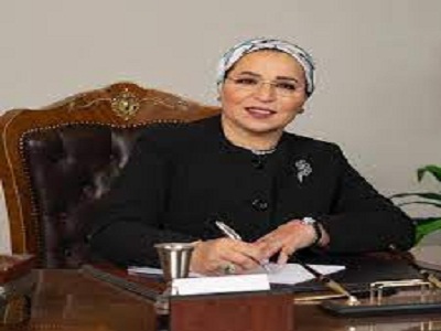 انتصار السيسى