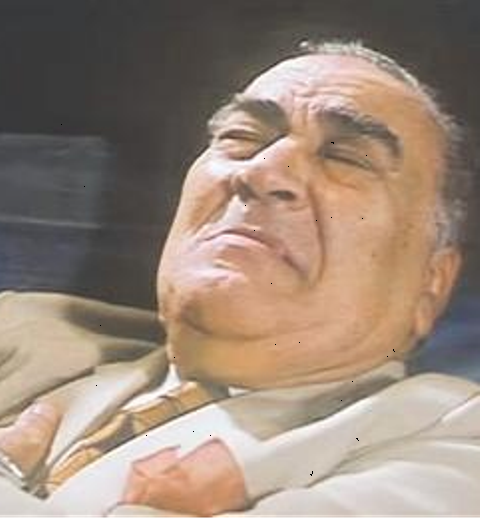 الفنان نظيم شعراوي