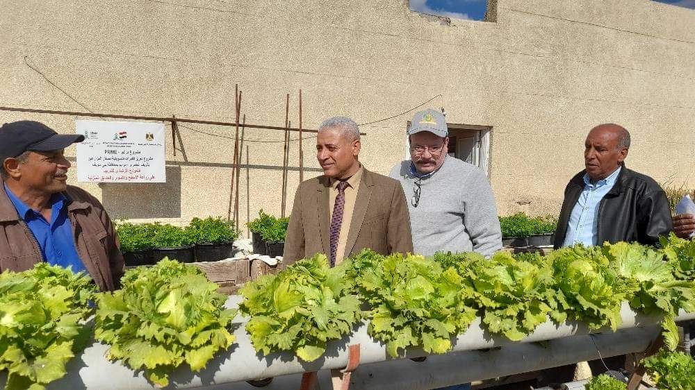 تدريب طلاب الزراعة وحديثي التخرج واصحاب المنازل على زراعة الأسطح