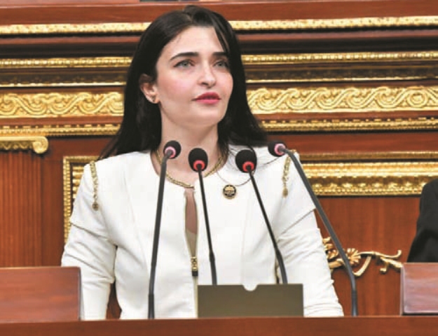 ايرين سعيد عضو مجلس النواب