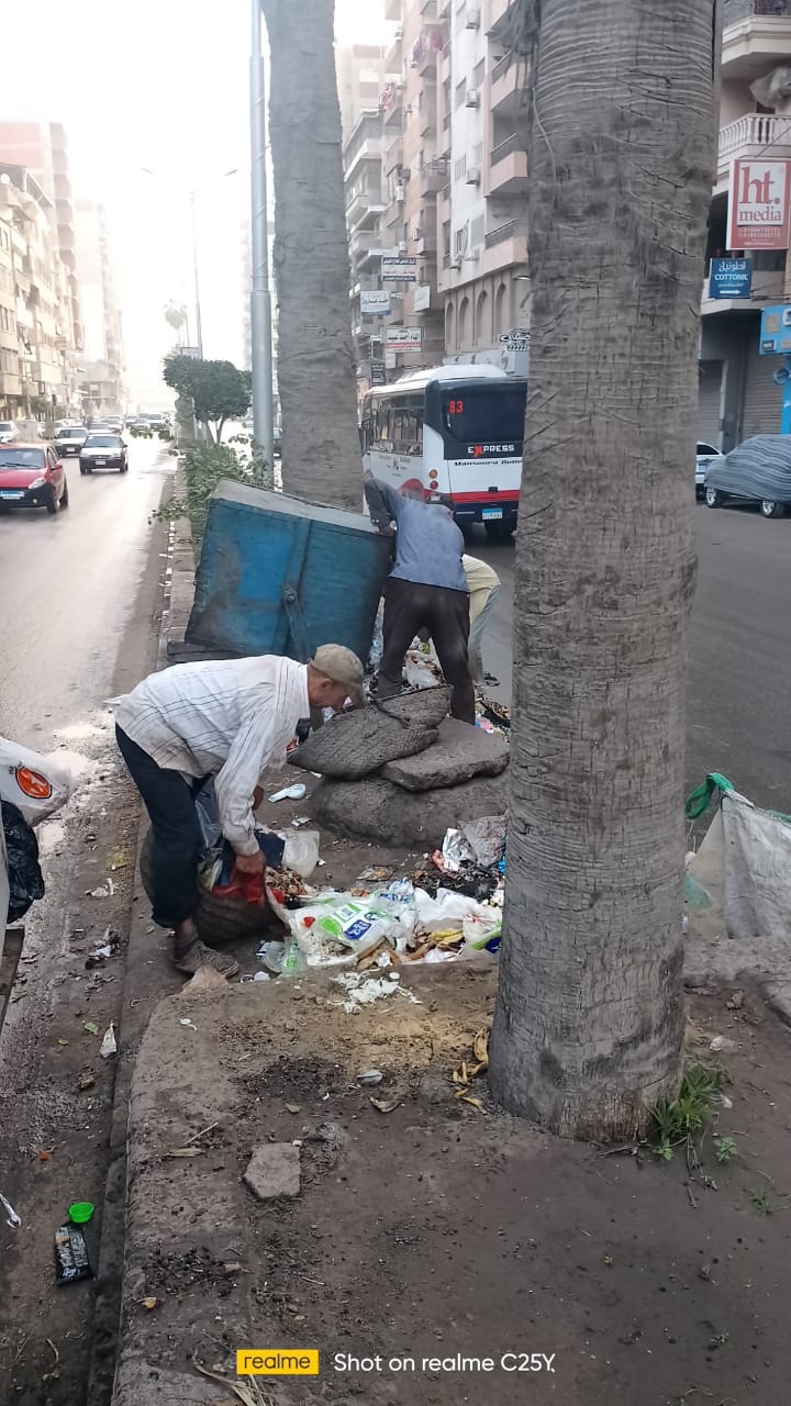 رفع 295 طن قمامة و50 طن أتربة من شوارع المنصورة