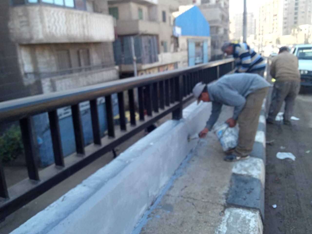 رفع 295 طن قمامة و50 طن أتربة من شوارع المنصورة