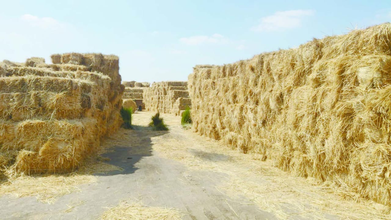 المحافظات 