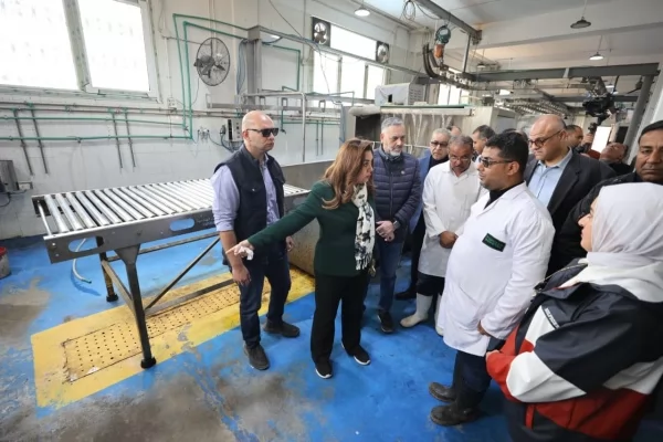 إقالة مدير الطب البيطري بالإسكندرية بعد مخالفات مجزر العامرية