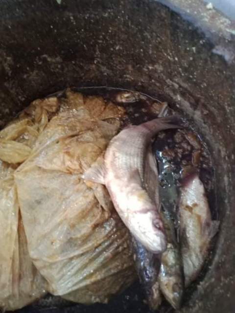 ضبط ٤.٥ طن جبنه مجهولة المصدر بالبحيرة..صور