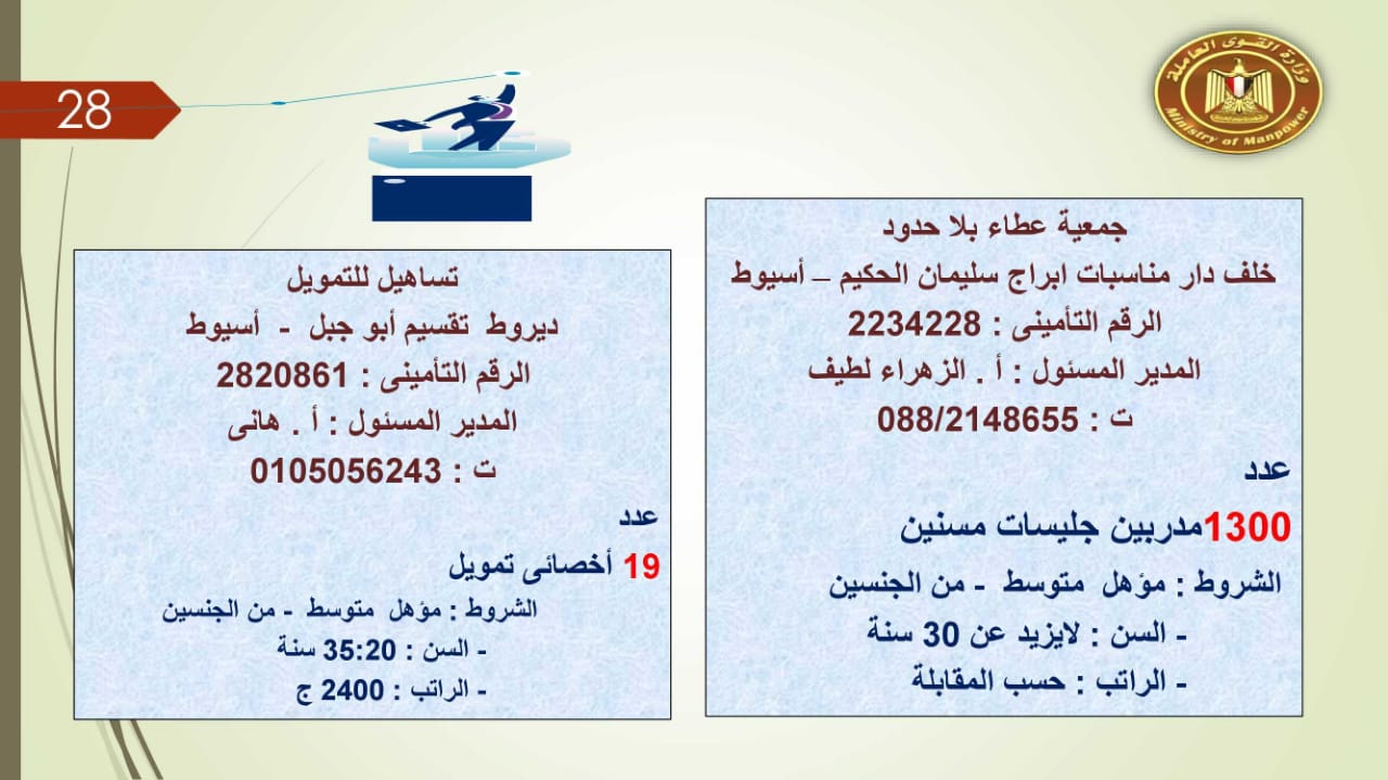 براتب يصل إلى 5500 جنيه.. القوى العاملة توفر 2752 فرصة عمل للجنسين 