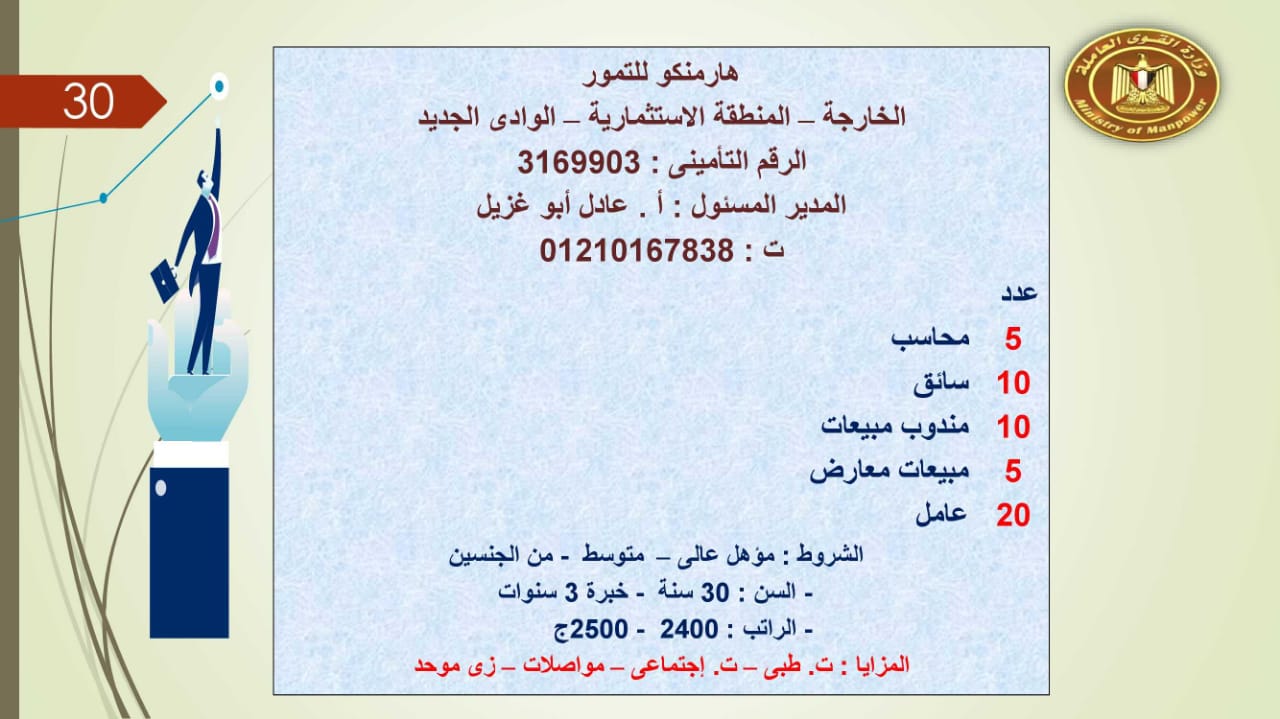 براتب يصل إلى 5500 جنيه.. القوى العاملة توفر 2752 فرصة عمل للجنسين 