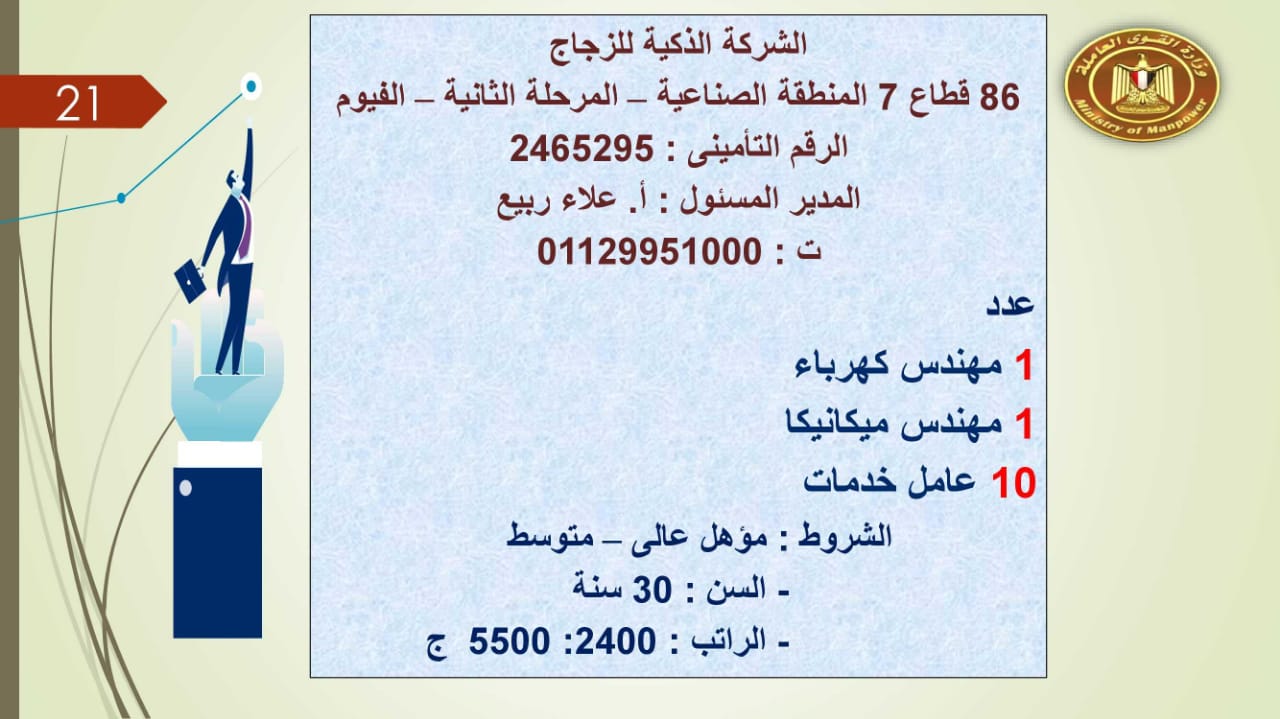 براتب يصل إلى 5500 جنيه.. القوى العاملة توفر 2752 فرصة عمل للجنسين 