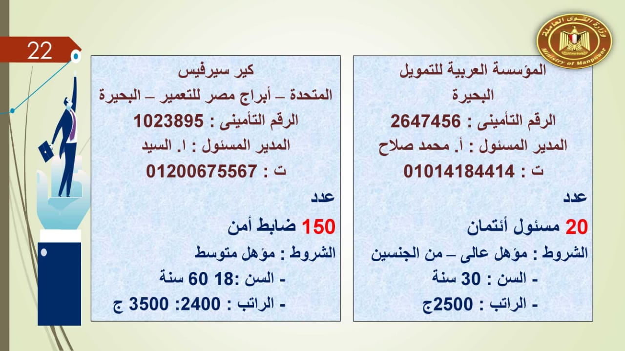 براتب يصل إلى 5500 جنيه.. القوى العاملة توفر 2752 فرصة عمل للجنسين 