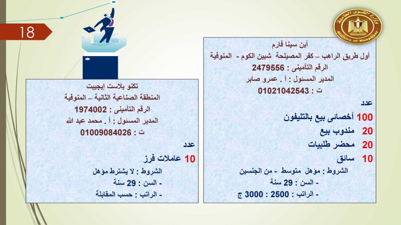 براتب يصل إلى 5500 جنيه.. القوى العاملة توفر 2752 فرصة عمل للجنسين 