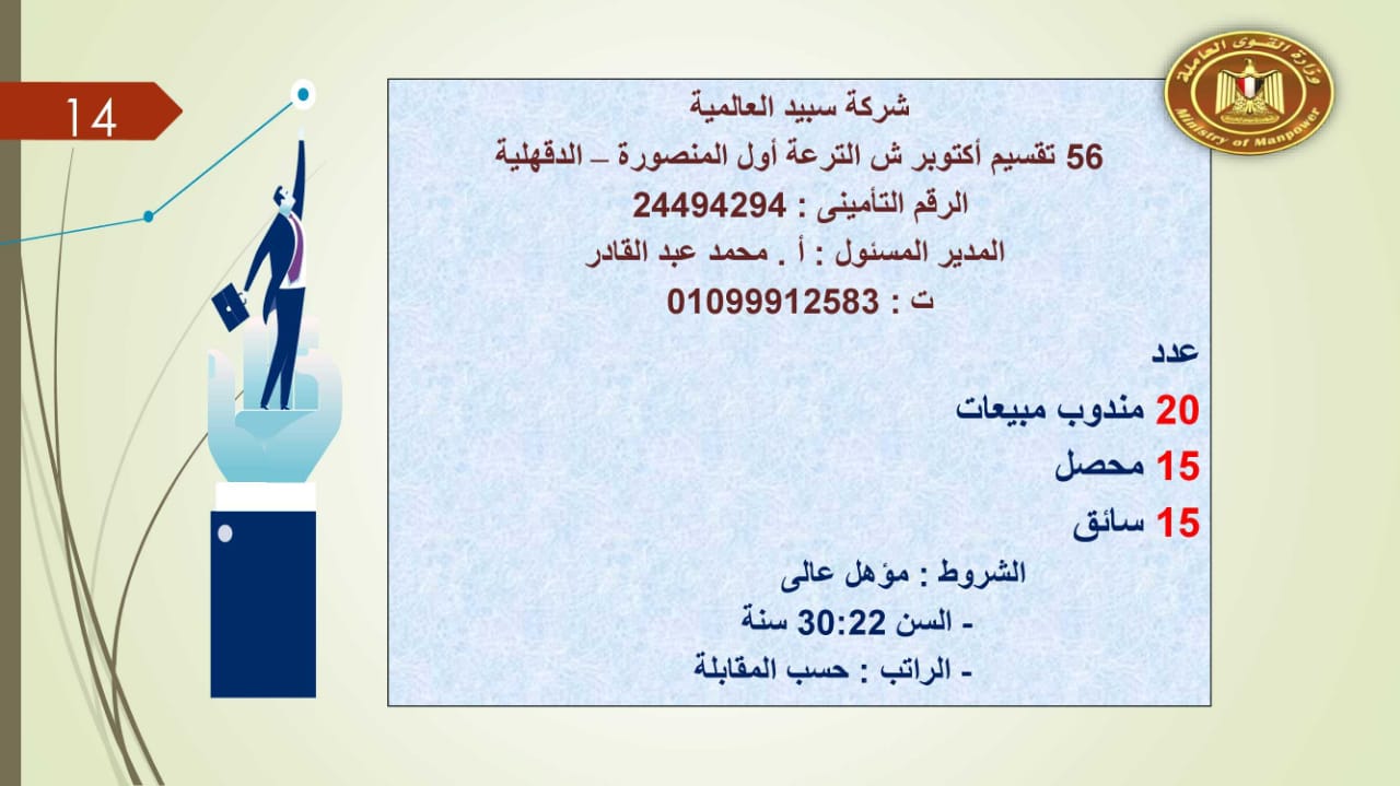 براتب يصل إلى 5500 جنيه.. القوى العاملة توفر 2752 فرصة عمل للجنسين 