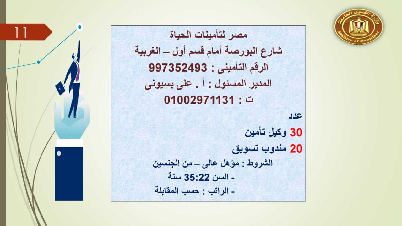 براتب يصل إلى 5500 جنيه.. القوى العاملة توفر 2752 فرصة عمل للجنسين 