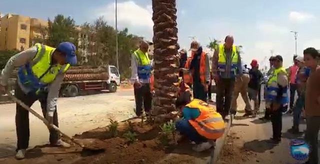 تعرف على تفاصيل زراعة أكثر من 350 شجرة ونخلة لمستقبل وطن مدينة بدر.. بالفيديو