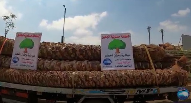 تعرف على تفاصيل زراعة أكثر من 350 شجرة ونخلة لمستقبل وطن مدينة بدر.. بالفيديو