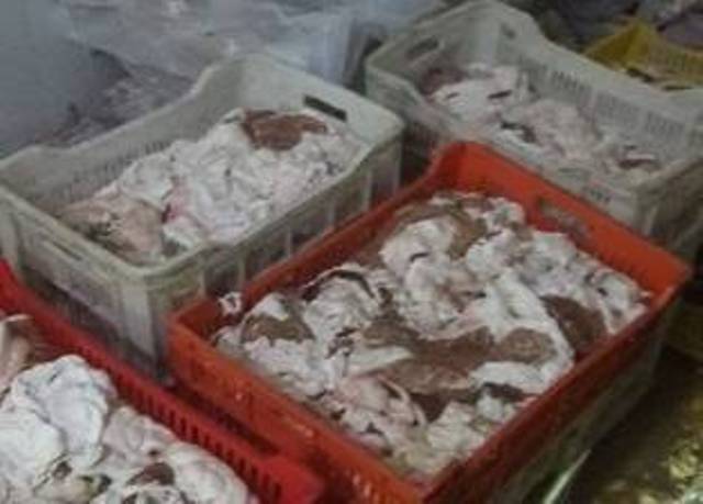 المضبوطات