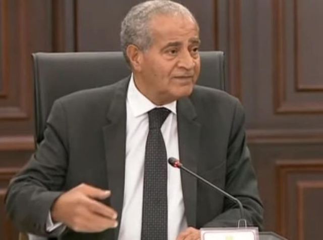 الدكتور على المصيلحى