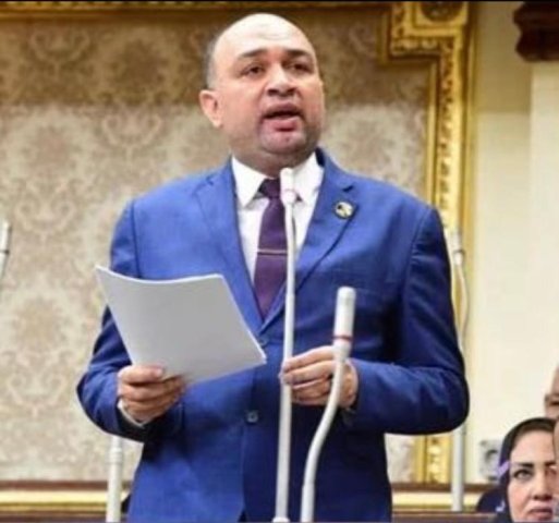 النائب أحمد أبوزيد عضو مجلس النواب