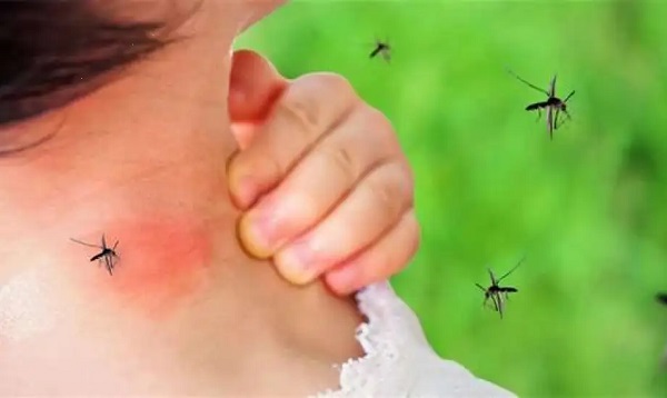 صورة تعبيرية