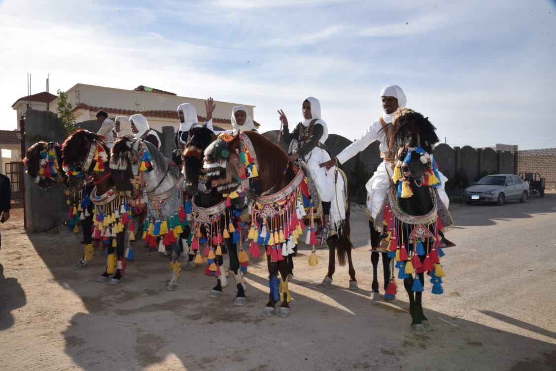 شعيب يتفقد مركز رعاية الخيول بمرسي مطروح  .. صور