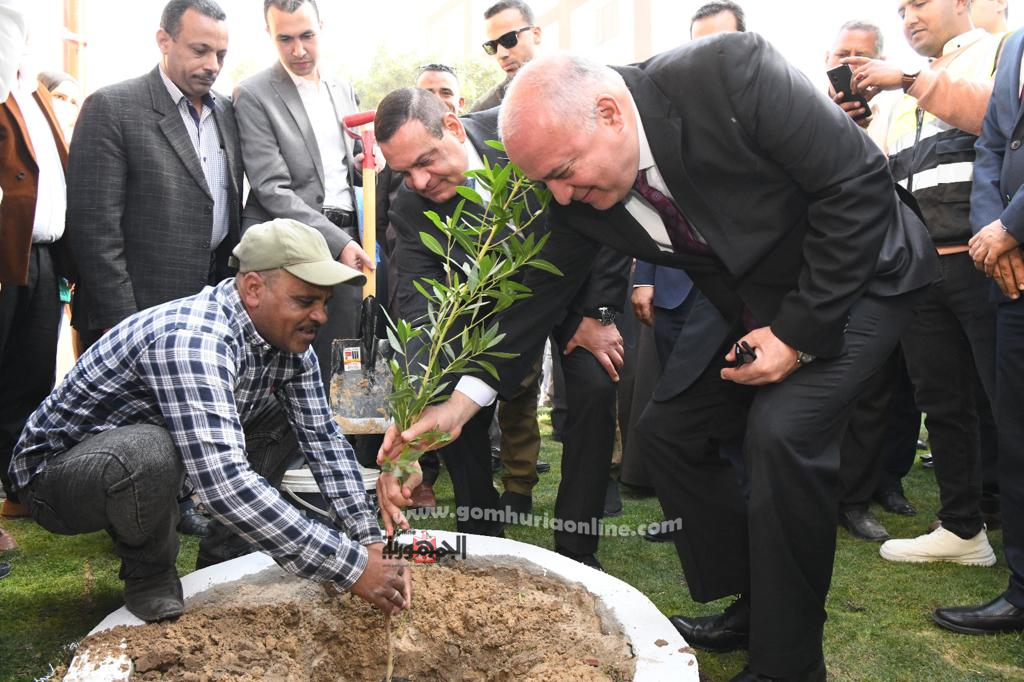 وزير التنمية المحلية ومحافظ قنا يغرسان شتلة ضمن مبادرة 100 مليون شجرة