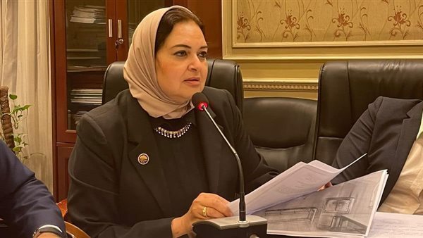 النائبة منى عمر عضو مجلس النواب