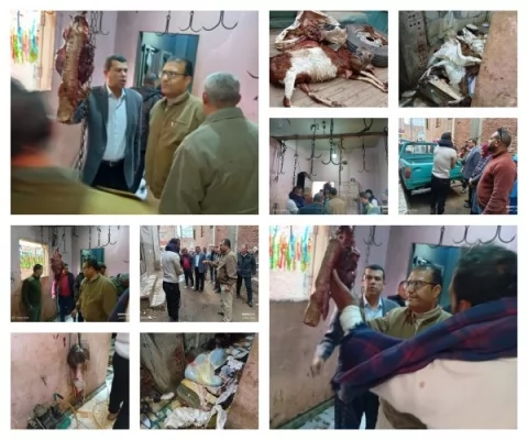 ضبط سلخانة منزلية بمركز الباجور المنوفية