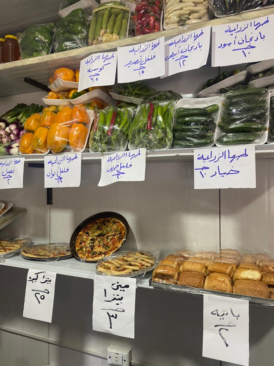 ١٦ منفذا تجاريا  لبيع   منتجات  التعليم  الفني  بالجيزة ... صور