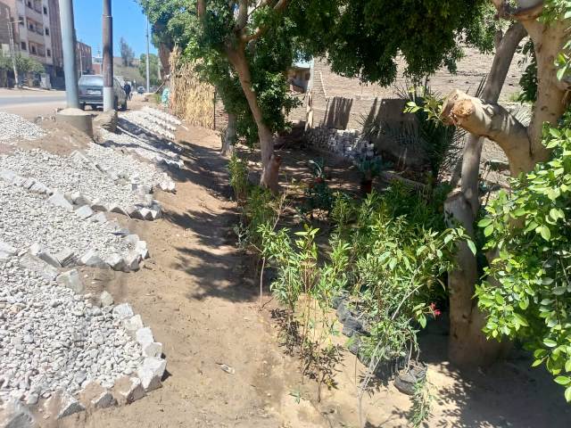 محافظ أسيوط: استمرار تنفيذ أعمال تشجير وزراعة شتلات بمركز صدفا