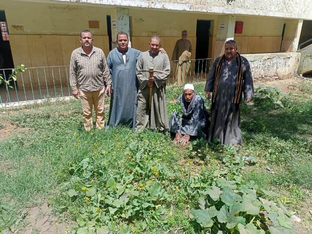 محافظ أسيوط: استمرار تنفيذ أعمال تشجير وزراعة شتلات بمركز صدفا