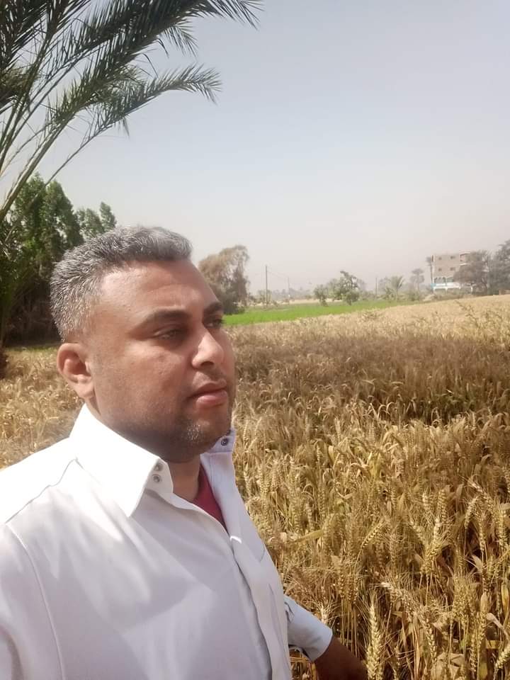 خبر مفجع لمؤلف مسلسل 