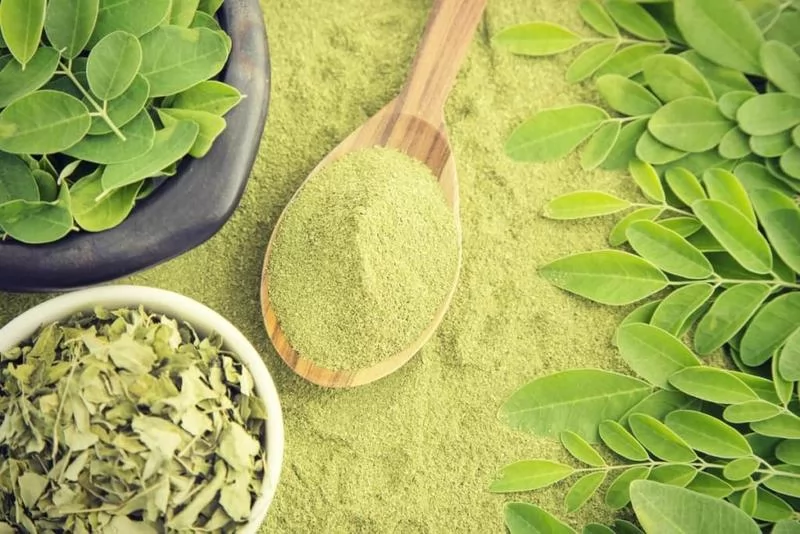 فوائد نبات السدر للبشرة والشعر 