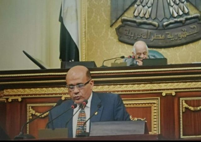 النائب طارق متولى