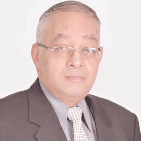 الفنان سامي مغاوري