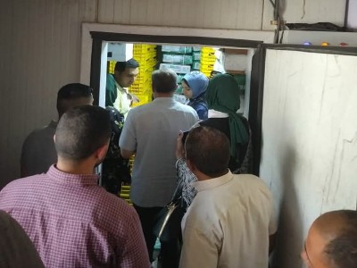 الدكتورة إيمان ريان نائب محافظ القليوبية 