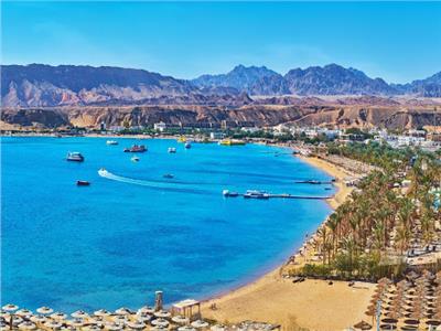 سيناء