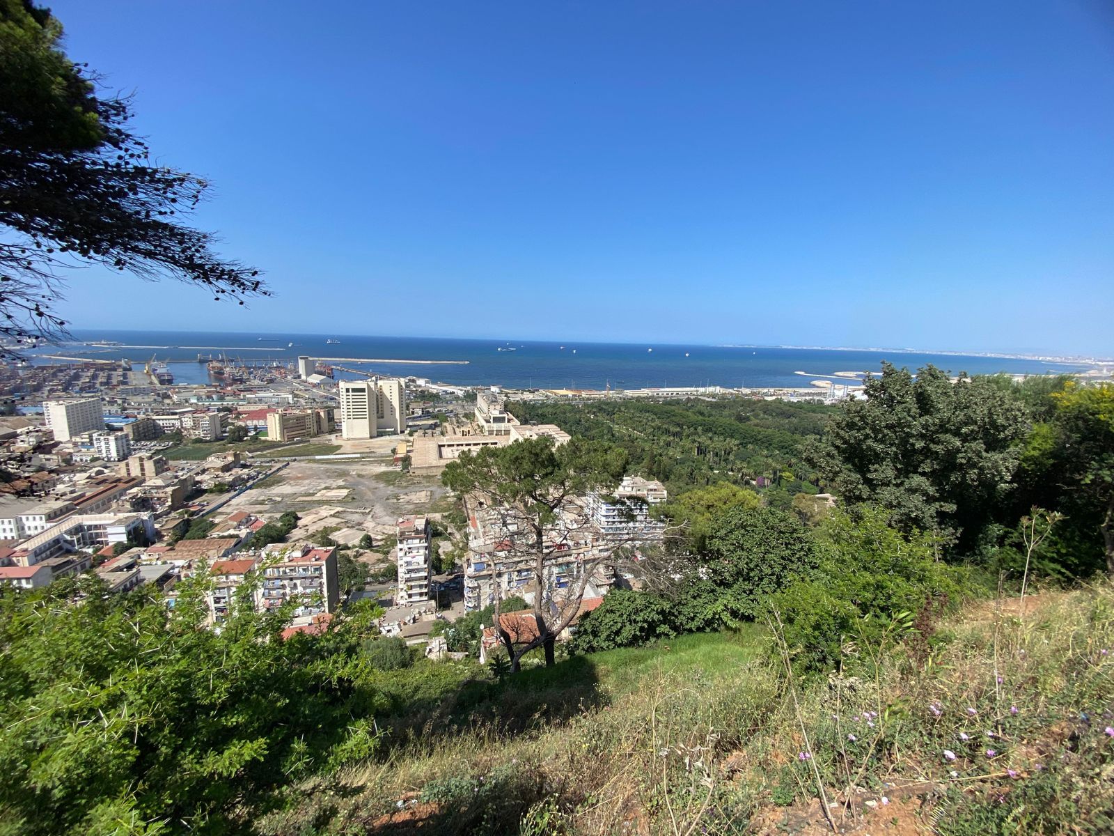 ملتقى الجزائر للإبداع الأدبي والفني يختتم فعالياته بنجاح