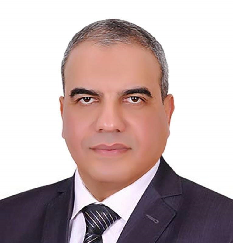 اللواء مهندس وليد البارودي 