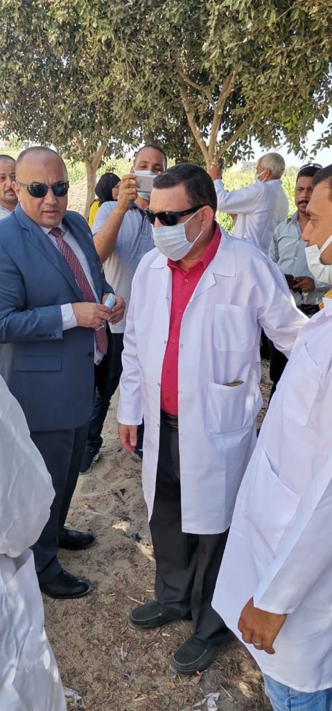 الزراعة: تحصين 2 مليون و٢٠٠ ألف رأس ماشية ضد مرض الحمي القلاعية و الوادي المتصدع 